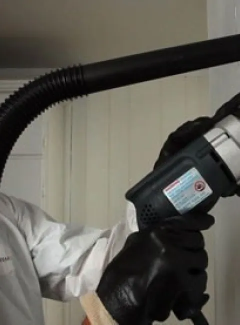 ServiceMaster by Gilmore Mold Removal